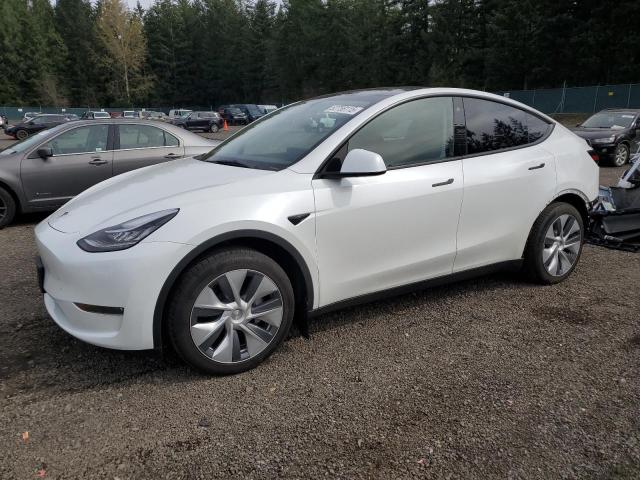  TESLA MODEL Y 2023 Белы