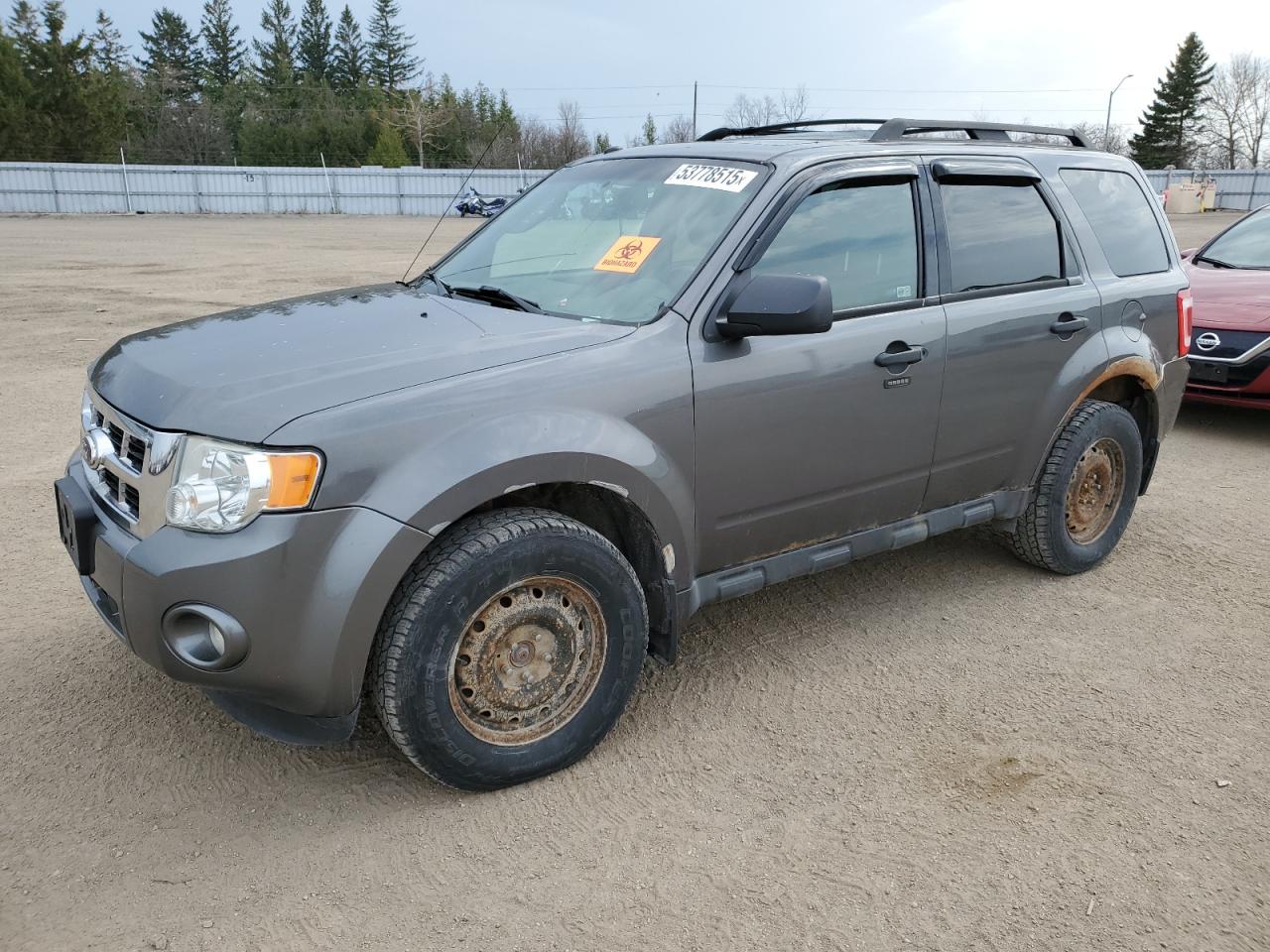 2011 Ford Escape Xlt იყიდება Bowmanville-ში, ON - Top/Roof