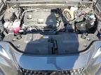 2024 Lexus Nx 350H Base for Sale in Denver, CO - Rear End