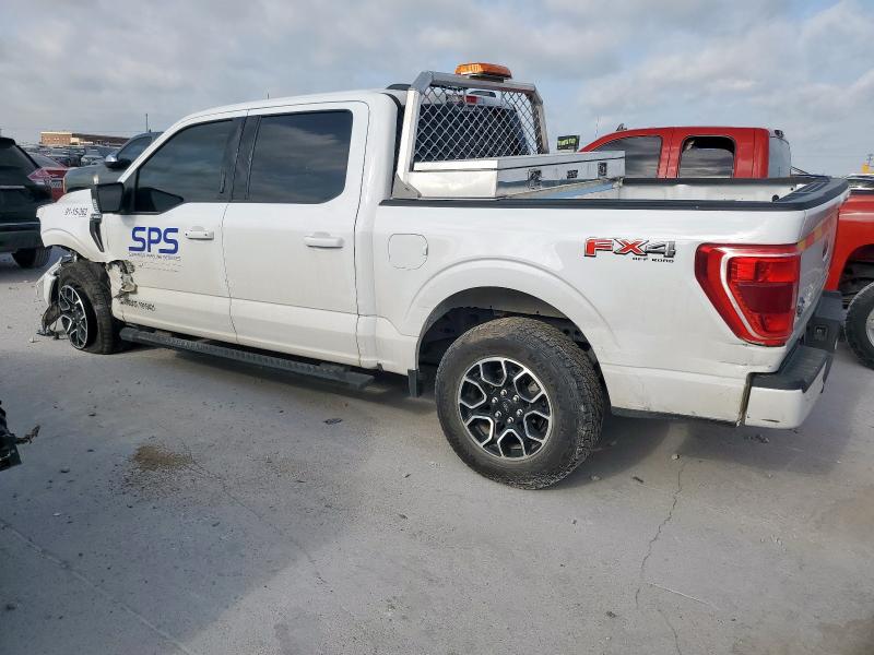  FORD F-150 2023 Белый