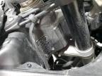 2023 Kawasaki Zx636 K for Sale in Dallas, TX - All Over