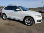 Brookhaven, NY에서 판매 중인 2013 Audi Q5 Premium - Minor Dent/Scratches