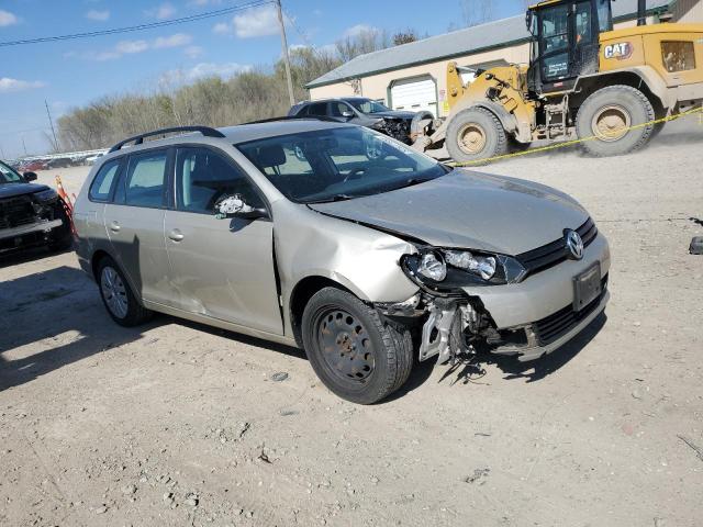  VOLKSWAGEN JETTA 2013 Цвет загара