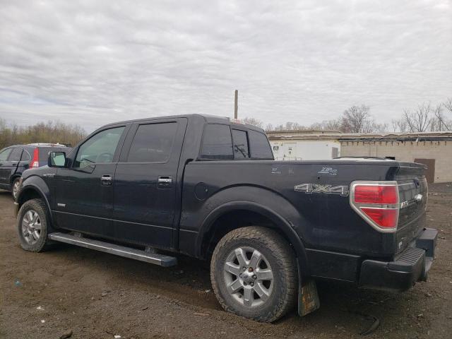 Пикапы FORD F-150 2013 Черный