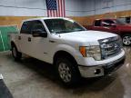 2014 Ford F150 Supercrew იყიდება Kincheloe-ში, MI - Mechanical