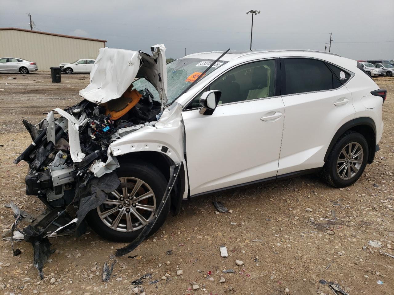 2021 Lexus Nx 300 Base for Sale in Temple, TX - Front End