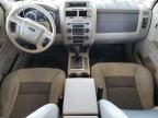 2008 Ford Escape Xlt zu verkaufen in Phoenix, AZ - Minor Dent/Scratches