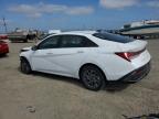 2024 Hyundai Elantra Blue for Sale in American Canyon, CA - Front End