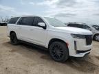 2024 Cadillac Escalade Esv Premium Luxury for Sale in Elgin, IL - Minor Dent/Scratches