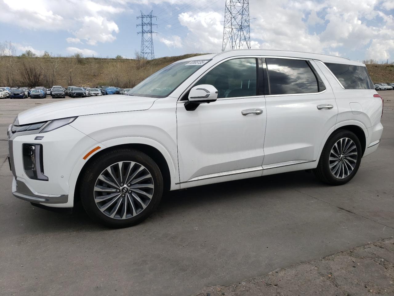 2024 Hyundai Palisade Calligraphy de vânzare în Littleton, CO - Vandalism