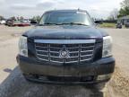 2010 Cadillac Escalade  продається в Sikeston, MO - Water/Flood