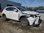 2025 Lexus Nx 350 Premium for Sale in Jacksonville, FL - Front End