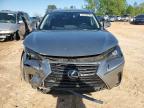 2020 Lexus Nx 300 Base de vânzare în China Grove, NC - Front End