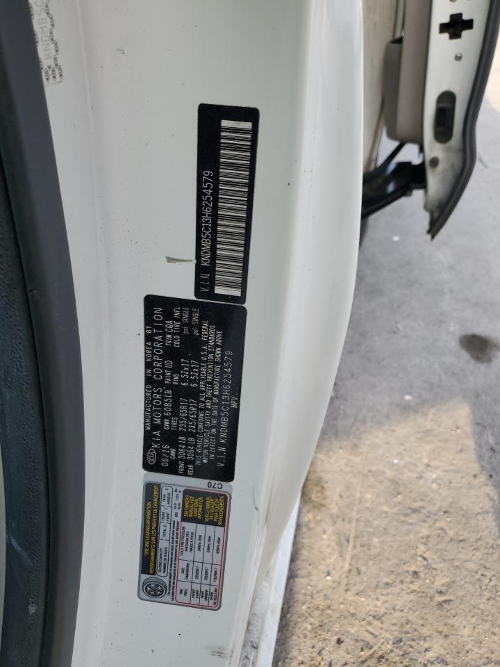 2017 Kia Sedona Lx VIN: KNDMB5C13H6254579 Lot: 53925035