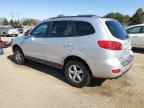 2007 Hyundai Santa Fe Gls de vânzare în Elgin, IL - Side