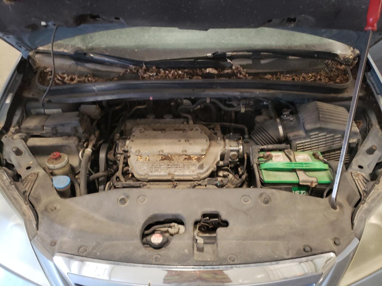 2007 Honda Odyssey Exl VIN: 5FNRL38697B003631 Lot: 53207335