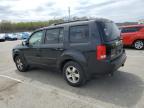 2009 Honda Pilot Exl zu verkaufen in Louisville, KY - Hail