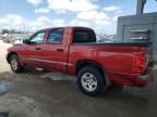 2007 Dodge Dakota Quad Slt en Venta en West Palm Beach, FL - Front End