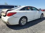 2014 Hyundai Sonata Gls de vânzare în Eugene, OR - Rear End