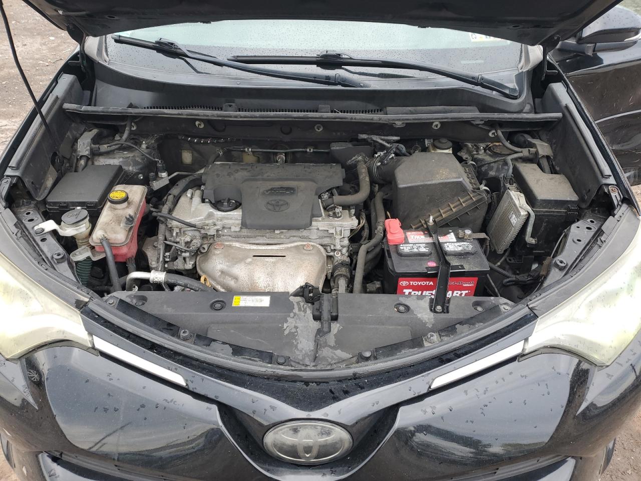 2t3rfrev0gw528206 2T3RFREV0GW528206 2016 Toyota Rav4 Xle