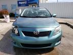 2010 Toyota Corolla Base en Venta en Louisville, KY - Front End
