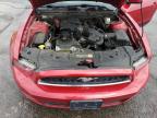 2013 Ford Mustang  للبيع في Rogersville، MO - Hail