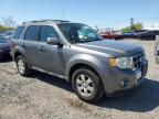 2011 Ford Escape Limited للبيع في Hillsborough، NJ - Minor Dent/Scratches