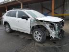 2019 Toyota Rav4 Le for Sale in Denver, CO - Front End