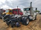 Chatham, VA에서 판매 중인 2012 Peterbilt 386  - Stripped