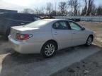 2003 Lexus Es 300 for Sale in Franklin, WI - Front End