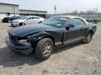 2007 Ford Mustang  for Sale in Leroy, NY - Front End