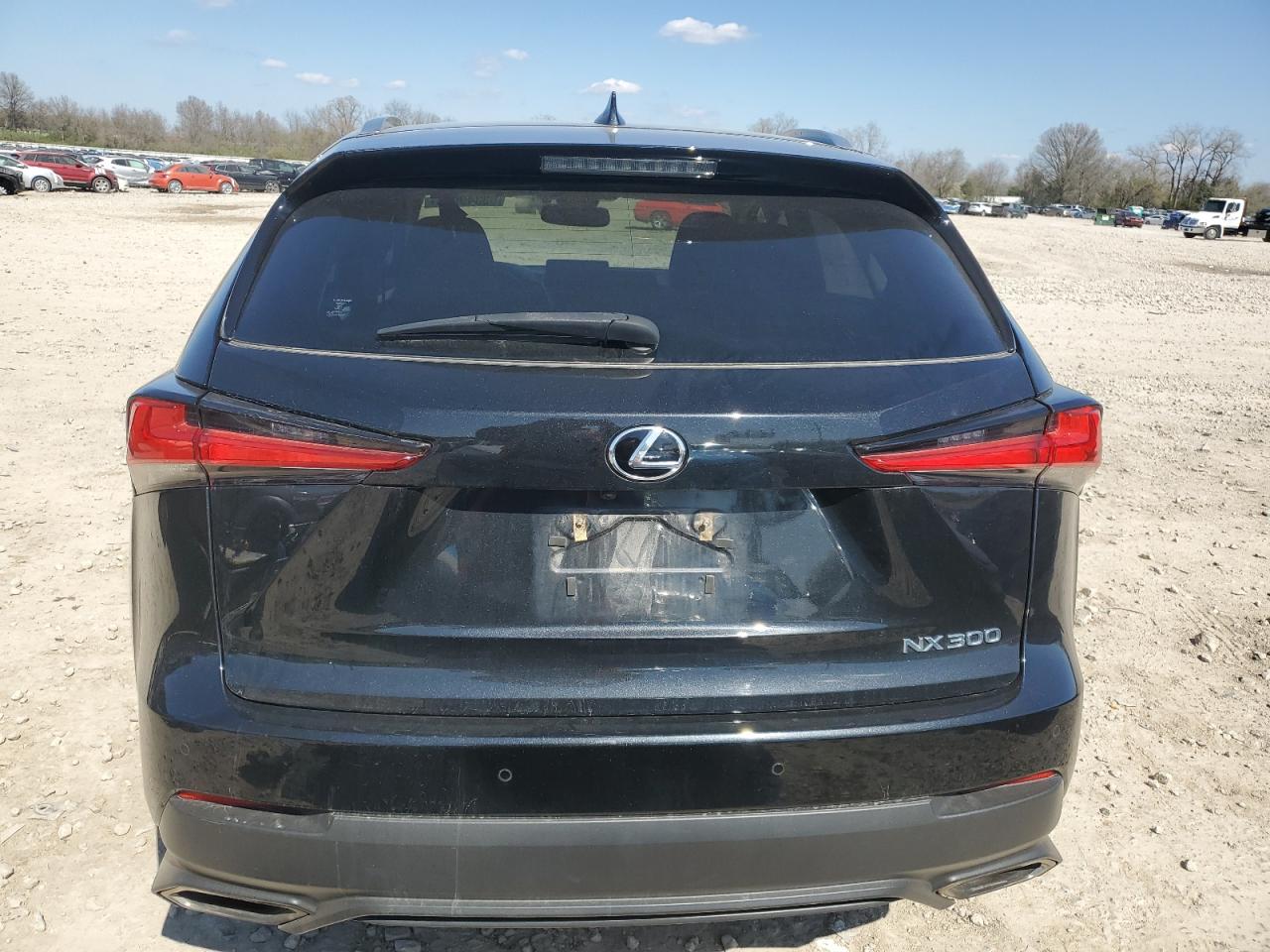 2020 Lexus Nx 300 VIN: JTJDARDZ3L2233534 Lot: 53349965