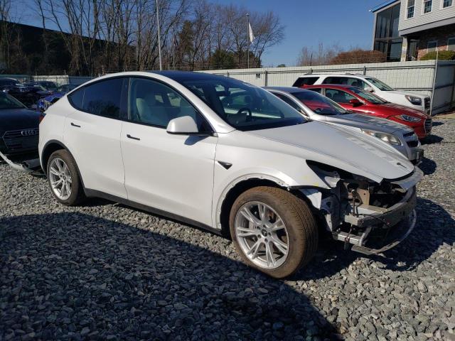  TESLA MODEL Y 2023 Biały