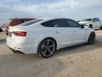 2019 Audi S5 Prestige zu verkaufen in San Antonio, TX - Hail