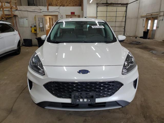 FORD ESCAPE 2021 Белы