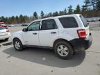 2008 Ford Escape Xlt en Venta en Windham, ME - Normal Wear