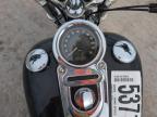 Magna, UT에서 판매 중인 2012 Harley-Davidson Fxdf Dyna Fat Bob - Rear End
