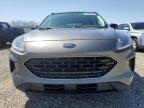 2021 Ford Escape Se na sprzedaż w Earlington, KY - Hail