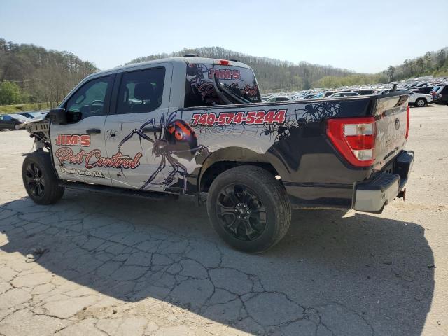  FORD F-150 2023 Серый