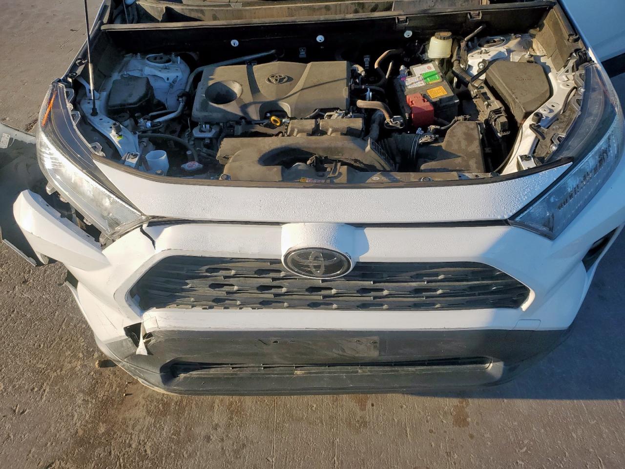2019 Toyota Rav4 Xle VIN: JTMW1RFV6KD512405 Lot: 53965385