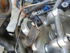 2006 Triumph Motorcycle Speed Triple продається в Grenada, MS - Normal Wear