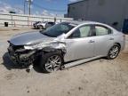 2009 Nissan Maxima S продається в Jacksonville, FL - Front End