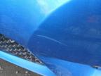 2013 MERCEDES BENZ B180 BLUEE for sale at Copart WOLVERHAMPTON