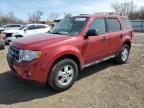 2010 Ford Escape Xlt   للبيع في Chicago Heights، IL - Rear End