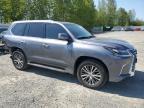2019 Lexus Lx 570 იყიდება Arlington-ში, WA - Rear End
