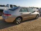 2003 Honda Accord Ex for Sale in San Antonio, TX - Hail