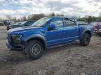 2017 Ford F150 Raptor na sprzedaż w Chalfont, PA - Front End