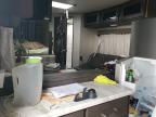 2021 Tran Trailer de vânzare în Phoenix, AZ - Vandalism