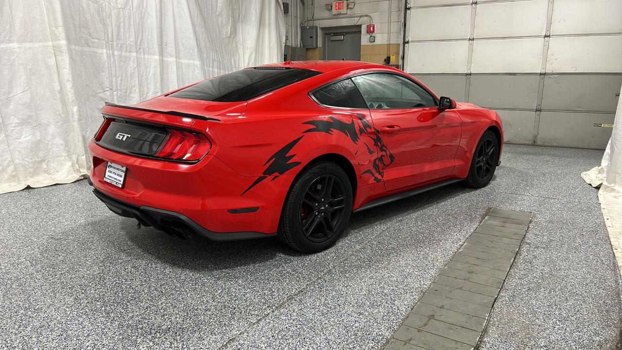 2019 Ford Mustang Gt VIN: 1FA6P8CF8K5118569 Lot: 55095225