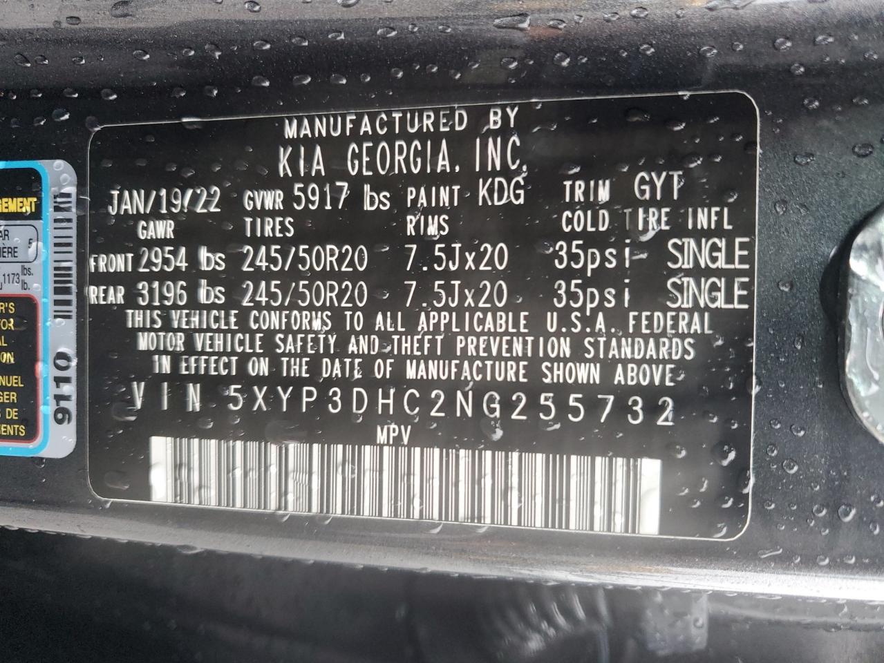 2022 Kia Telluride Ex VIN: 5XYP3DHC2NG255732 Lot: 52604795